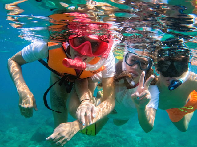 From Abu Dhabi: Snorkelling with Turtles and BBQ in Fujairah