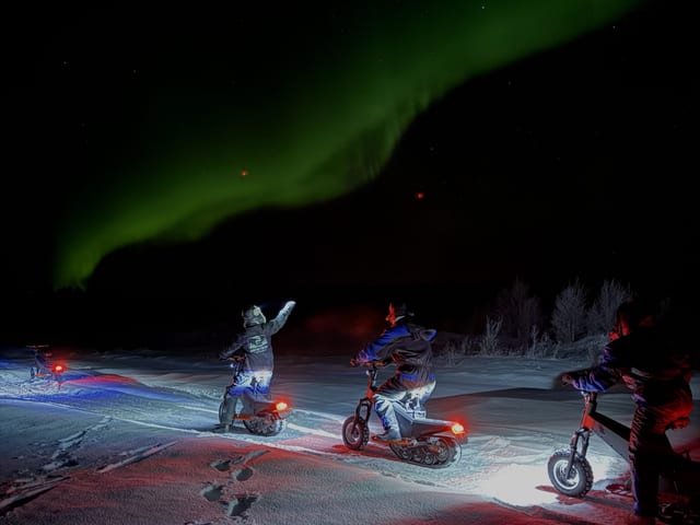 Electric Reindeer Safari to Aurora Cabin for Northern Lights in Rovaniemi, Lapland