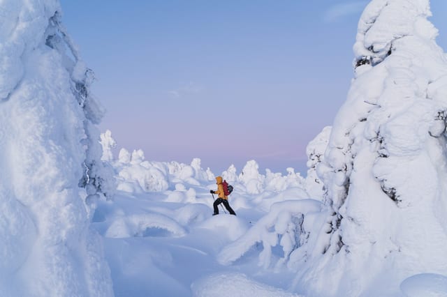 Snowshoe Adventure at Pallas-Yllastunturi with Lunch