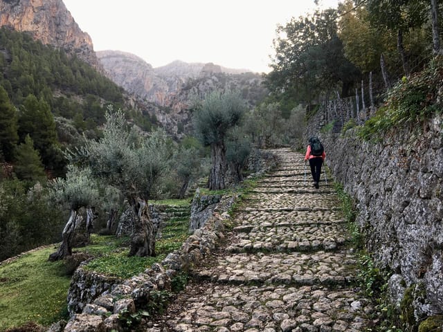 Gorge Hike in Sóller