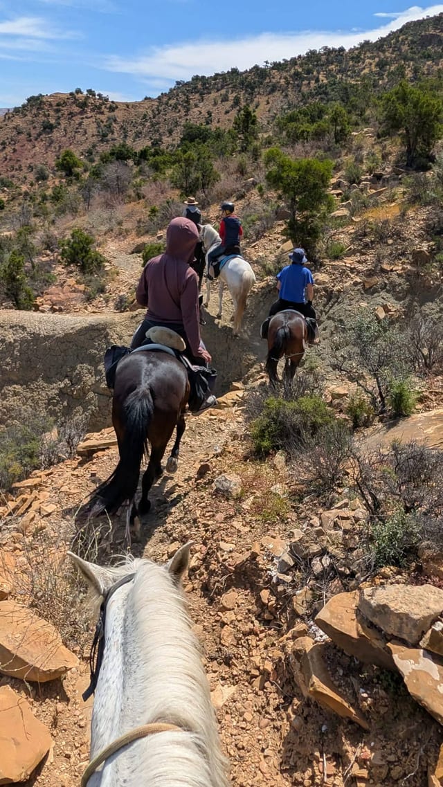 6-Day Coastal Horse Riding Holiday in Agadir