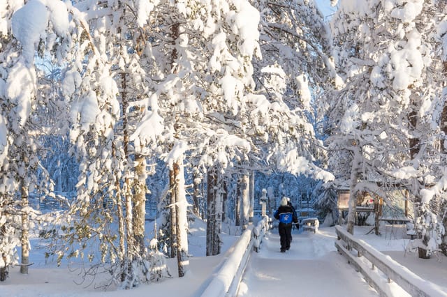 Arctic Wildlife Safari at Ranua Wildlife Park from Rovaniemi