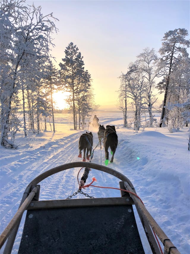 Husky and Snowmobile Safari in Rovaniemi