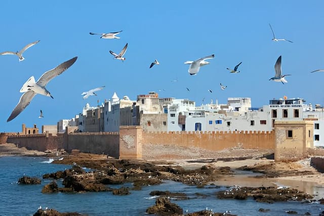 Private Essaouira Day Trip from Marrakech: Medina & Coast
