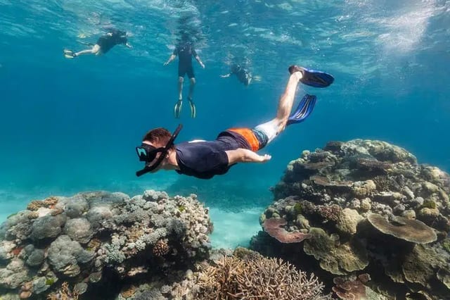 Two-Stop Snorkel and Private Island Beach Break in Roatan