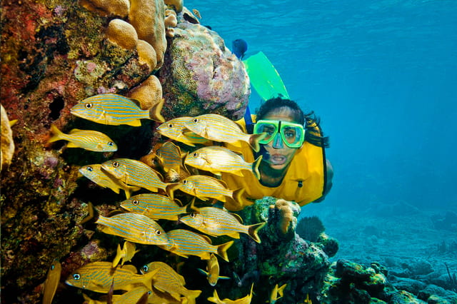 Riviera Maya Snorkelling Adventure in Puerto Morelos