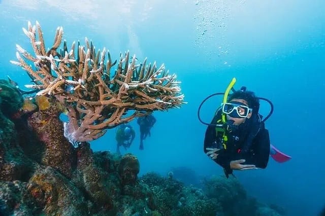 PADI Open Water Scuba Diving Course in Hurghada