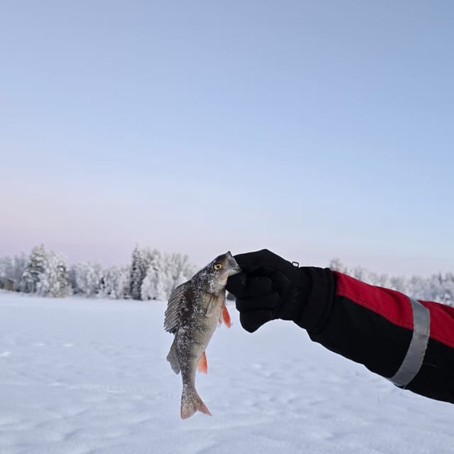 Ice Fishing on a Frozen Lake with BBQ in Lapland