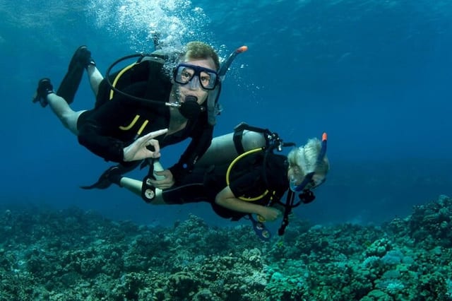 PADI Advanced Diving Course and Transfer with Lunch in Marsa Alam
