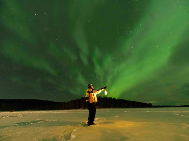 Northern Lights Aurora Hunt from Rovaniemi Lapland
