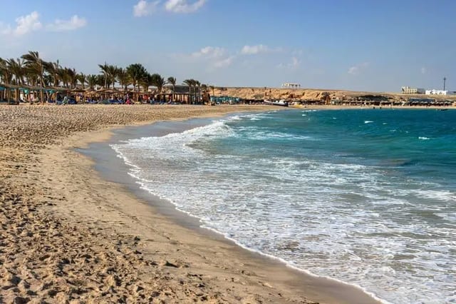 Abu Dabbab Snorkelling Trip: Explore Marine Life in Marsa Alam
