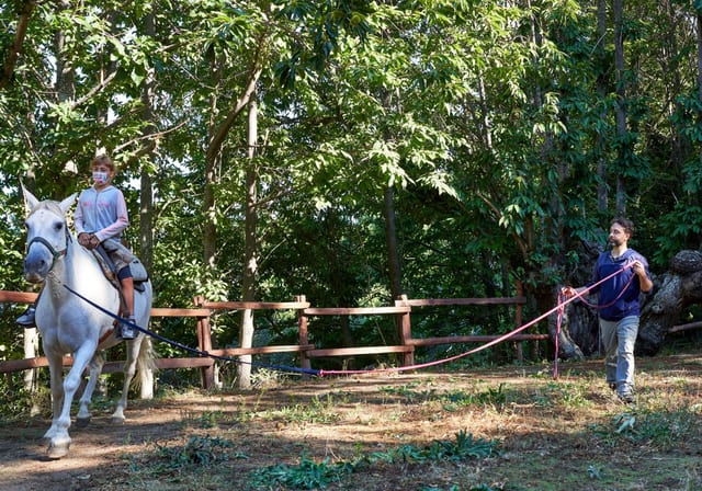 Forest Horse Riding in Cabezabellosa