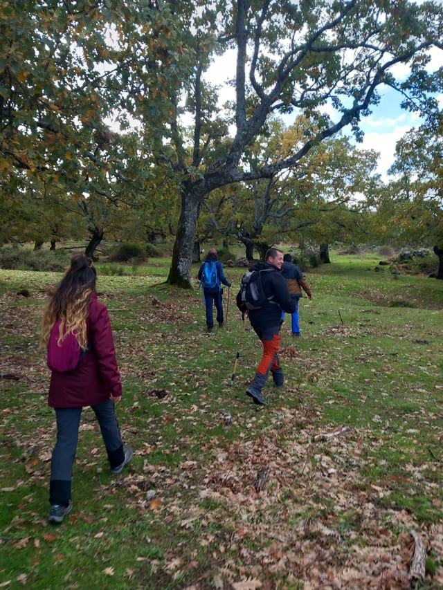 Forest Bathing Hike in Cabezabellosa