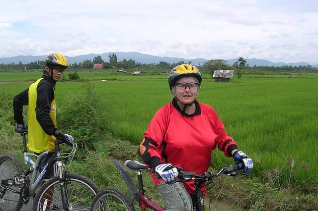 Half Day Rice Field Visions Guided Bike Tour in Chiang Mai