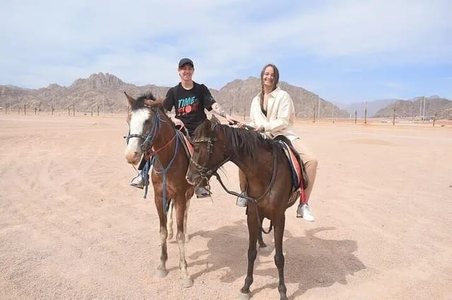 Horse Riding: 2 Hours Sea and Desert with Transfer in Hurghada
