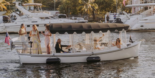Private Electric Boat Cruise on the Miami River