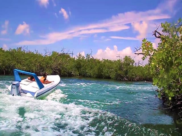 Jungle Speedboat and Snorkelling Tour in Cancún