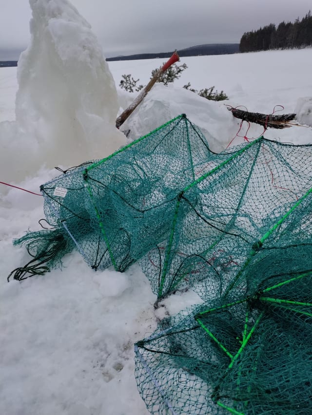 Pesca con le reti a Rovaniemi