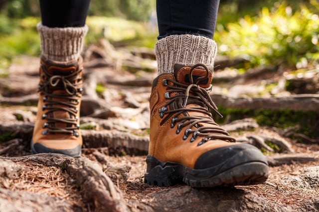 Ingleborough Guided Walk in the Yorkshire Dales