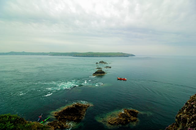 Fishguard Bay and Strumble Head Boat Trip in Pembrokeshire