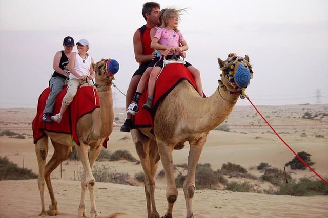 Morning Desert Safari in Abu Dhabi