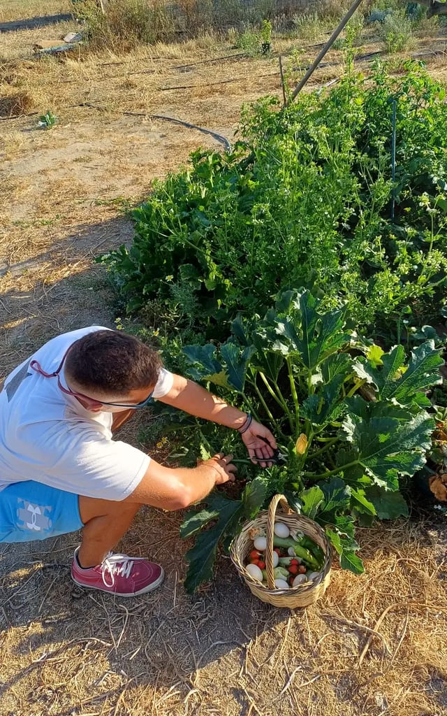 Herbal Garden Tour in Naxos