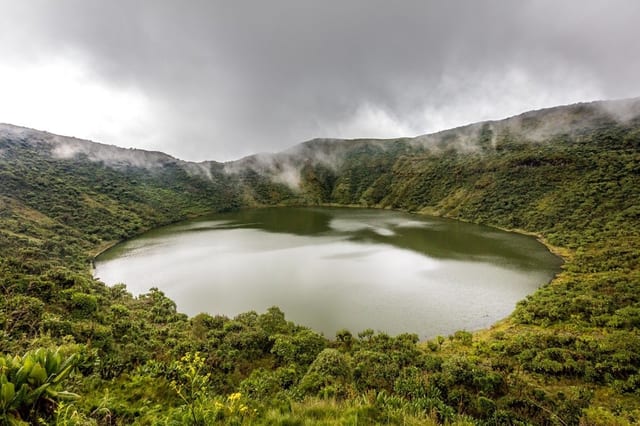 Hiking Gorilla Trek in Rwanda and Bwindi Uganda