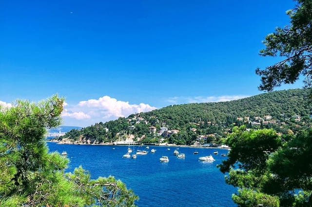 Tour di nuoto selvaggio sulle Isole dei Principi