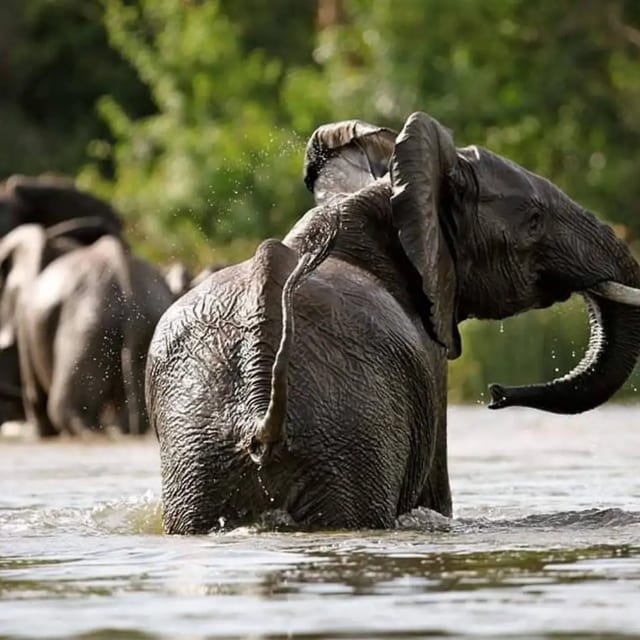 5 Day Zambezi Canoe Safari Trail in Zambia