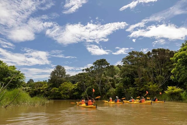 Private Kayak and Brewery Tour in Clevedon
