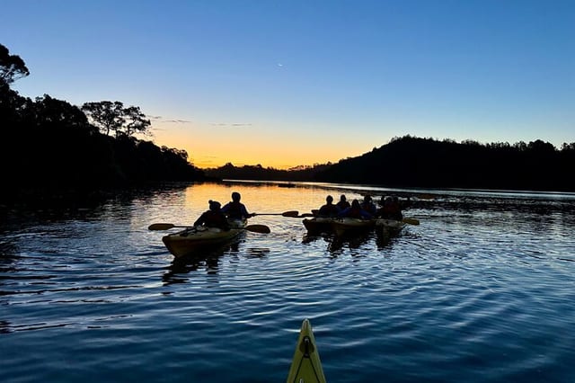 Okura Bioluminescence Kayak Tour in Auckland