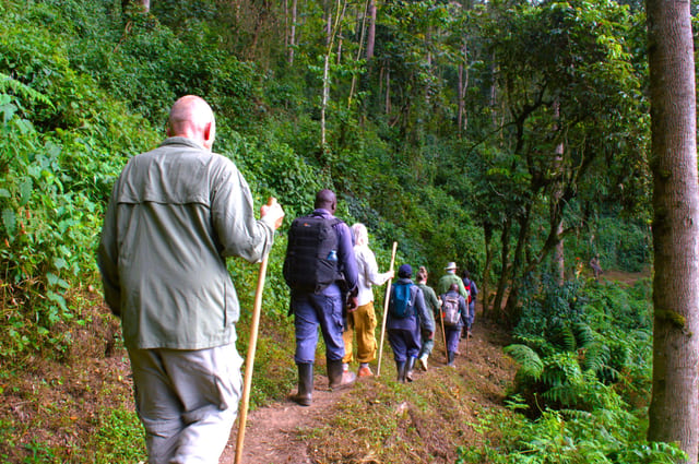 3-Day Gorilla Trek in Bwindi from Kigali