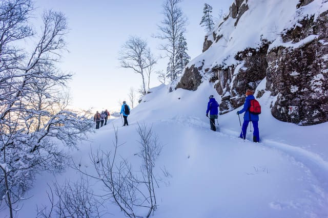 Preikestolen Winter Hike with Hot Meal in Lysefjord