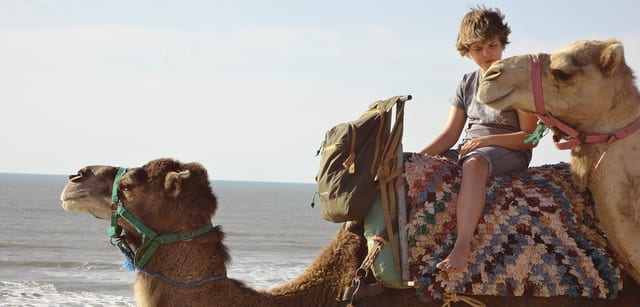 Camel Riding in Essaouira
