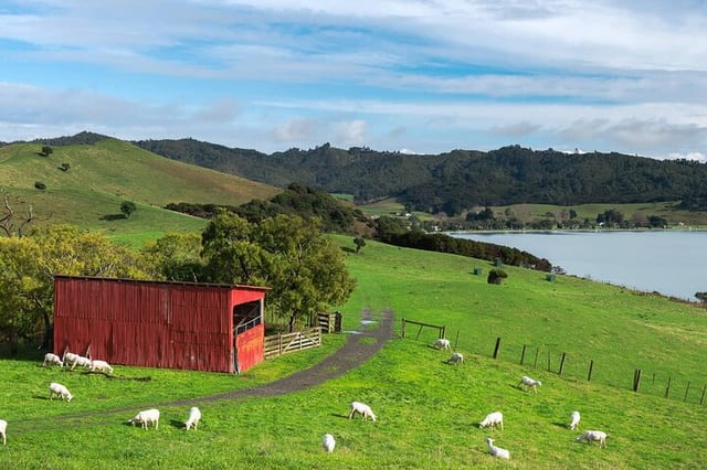 Full-Day Walking Tour at Duder Regional Park