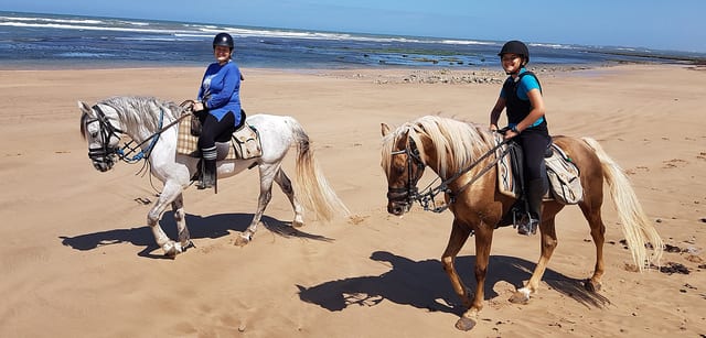 Horse Riding in Essaouira