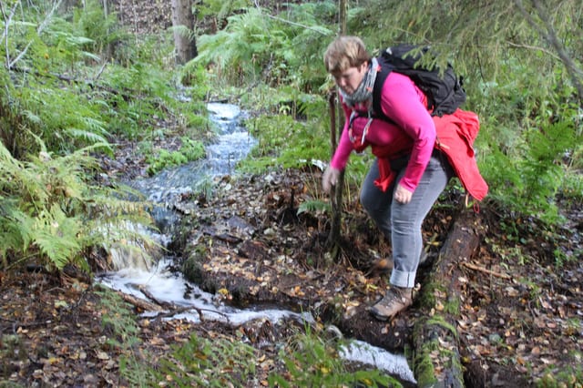 Randonnée en forêt dans la partie nord du parc national de Nuuksio