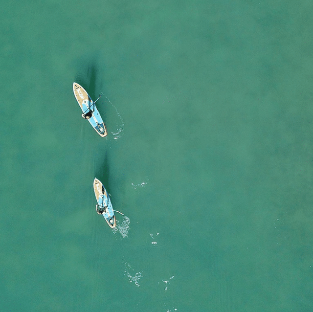 Paddleboard Tours in Salcombe, South Devon