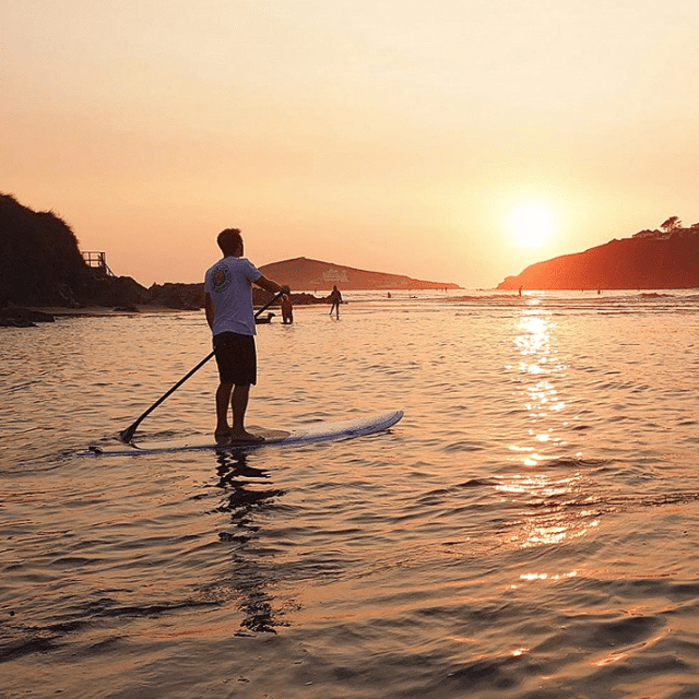 Paddleboard (SUP) Tours on River Avon, Aveton Gifford