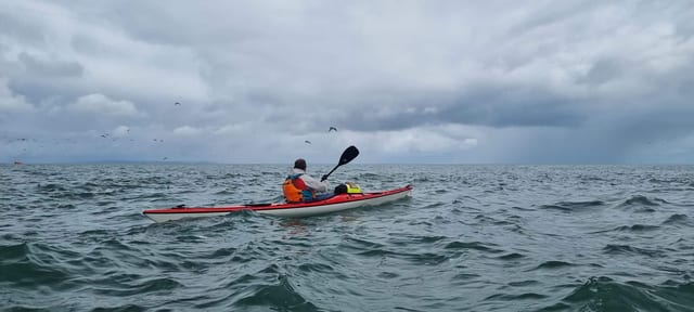 Intermediate Sea Kayaking Course in Torquay