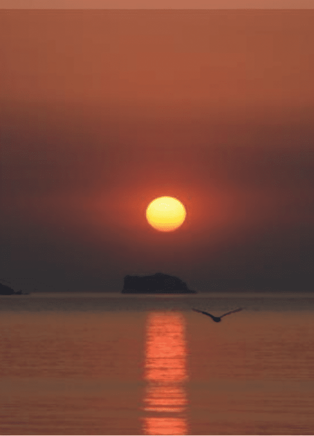 Sea Kayaking for the Mind in Torquay