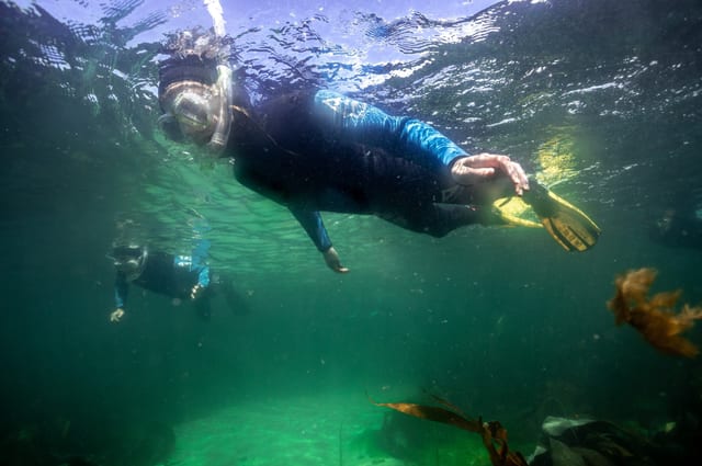 Private Snorkelling Session – Fort William, Scotland