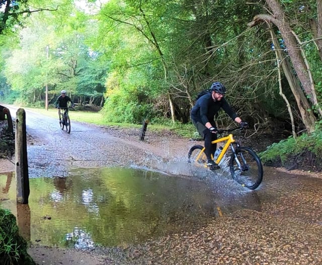 ‘The Roar of The Dragon’ Cycling Tour in the New Forest