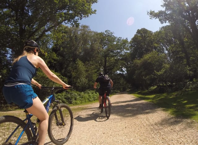 New Forest Leisure Cycling Tour