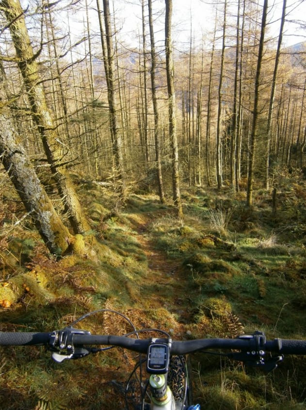 Guided Mountain Biking in North Wales