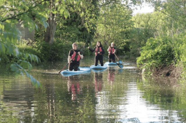 Adult Paddleboarding Taster Session on the River Leam
