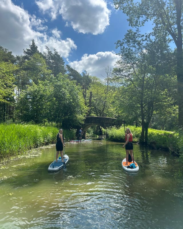 Private Stand Up Paddleboard Lesson on the River Thames, Surrey