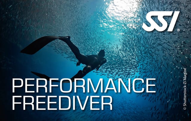 SSI Performance Freediver Course (Level 3)