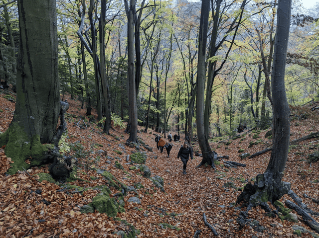 Private Guided Hike: King Arthur’s Wye Valley Wander, listing photo