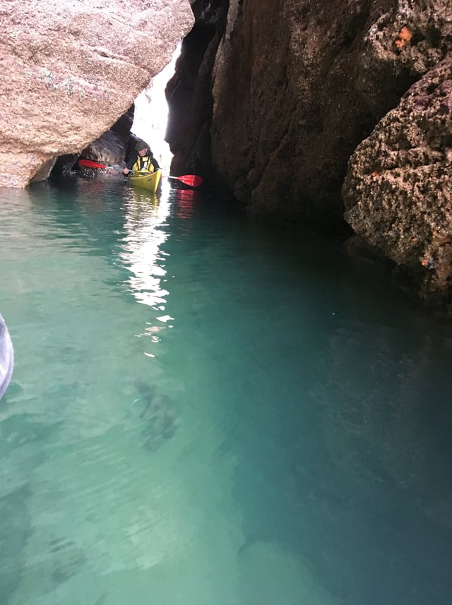 Guided Evening Wildlife and Sea Cave Kayaking Tour in Torquay, listing photo